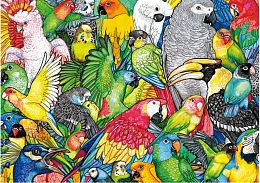 Educa 500 Puzzle pieces: Parrots