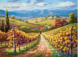 Puzzle Castorland 3000 details: Vineyard