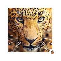 Puzzle Pintoo 256 items: Leopard