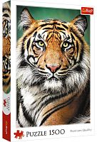 Trefl Puzzle 1500 pieces: Portrait of a Tiger