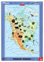 Jigsaw puzzle educational puzzle Step detail 29: North America