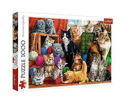 Puzzle Trefl 1000 pieces: Cat meeting