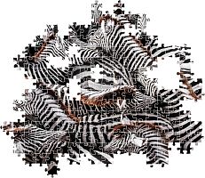 Clementoni Puzzle 1000 pieces: Zebras