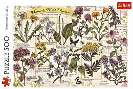 Trefl 500 puzzle pieces: Herbarium. Medicinal herbs