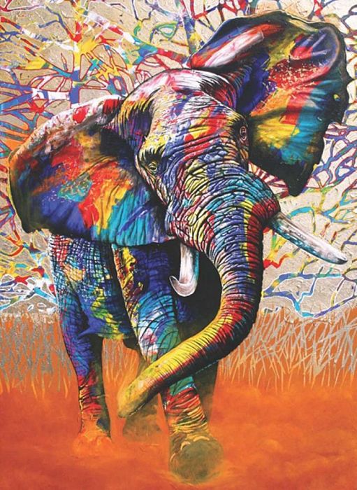 Anatolian jigsaw puzzle 1000 pieces: colors of Africa ANA.1054
