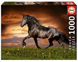 Educa 1000 Piece Puzzle: A trotting horse