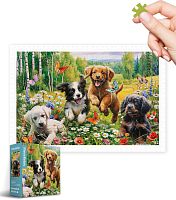 Pintoo 600-piece Puzzle: Funny Puppies