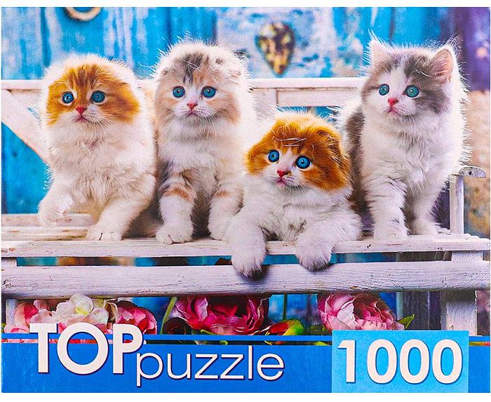 TOP Puzzle 1000 pieces: Kittens Scottish fold ШТТП1000-4154