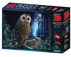 Prime 3D puzzle 500 pieces: the Path of magic