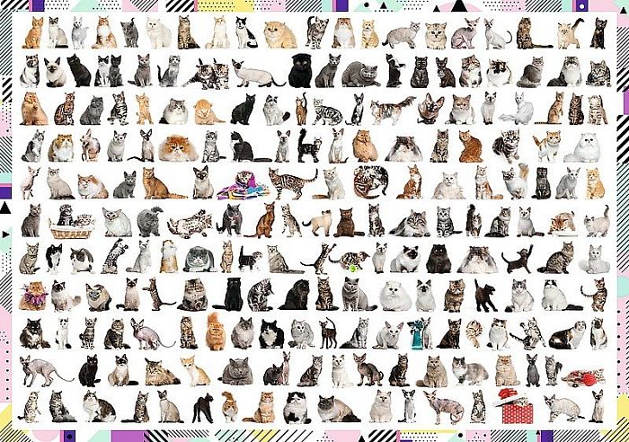 Puzzle Trefl 1000 pieces: 208 cats TR10498