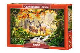 Puzzle Castorland 1000 pieces: the Royal family