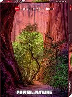 Puzzle Heye 1000 pieces: Singing Canyon