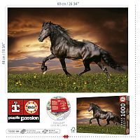 Educa 1000 Piece Puzzle: A trotting horse