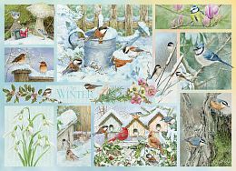 Cobble Hill 500 Pieces Puzzle: Garden Birds in Winter