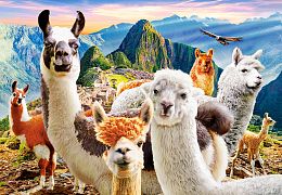 Puzzle Castorland 1000 details: Selfie Llamas