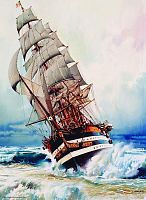 Anatolian jigsaw puzzle 1000 pieces: the Black pearl