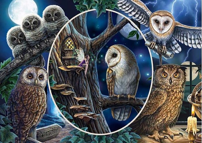 Schmidt puzzle 1000 pieces: L. Parker Mysterious owls 59667