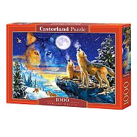 Puzzle Castorland 1000 pieces Wolves