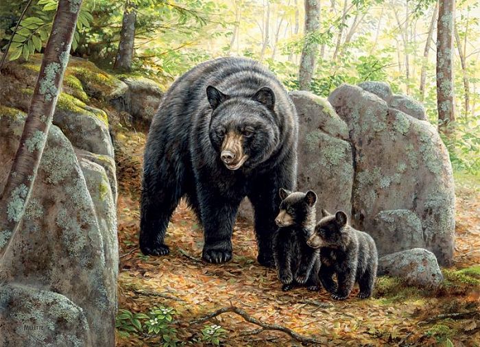 Cobble Hill puzzle 1000 pieces: bear with cubs 51869/80154