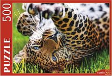 Puzzle Red Cat 500 pieces: Leopard on the grass