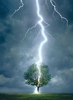 Puzzle Eurographics 1000 pieces: lightning Strike to a tree