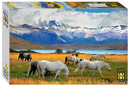 Step puzzle 1000 pieces: Horses in a national park. Chile