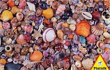 Puzzle Piatnik 1000 pieces: seashells