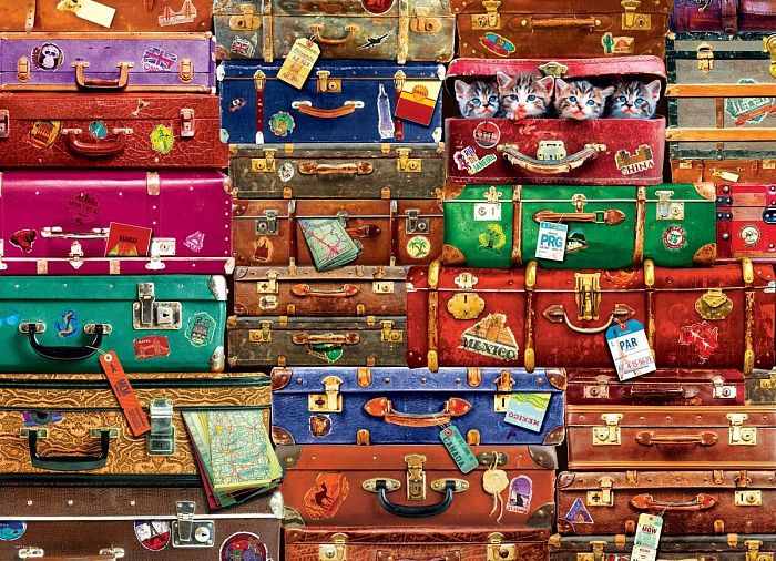 Eurographics 1000 Pieces Puzzle: Travel Suitcases 6000-5468