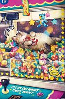 Pintoo 600-piece puzzle: Phoenix Chan. Daily life