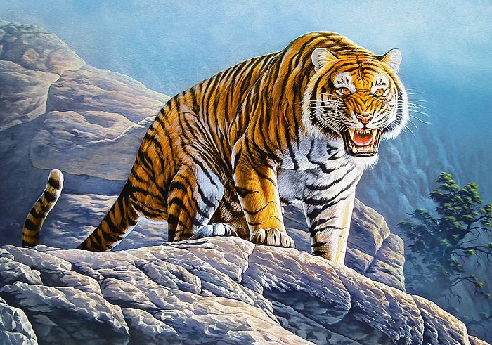 Puzzle Castorland 500 items: Tiger on the rocks B-53346