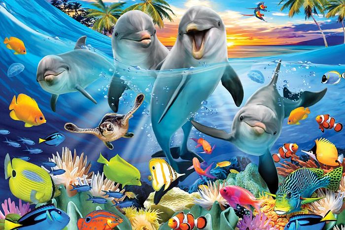 PRIME 3D puzzle 50 pieces: Playful dolphins 30765