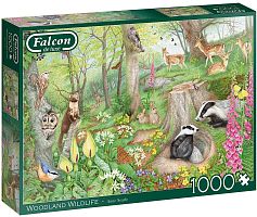 Falcon 1000 puzzle details: The life of forest animals