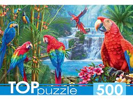 TOP Puzzle 500 pieces: Bright Parrots