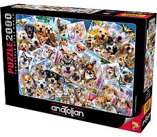 Puzzle Anatolian 2000 details: Selfie collage of pets