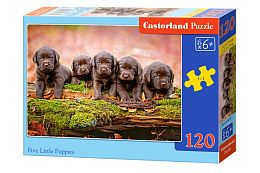 Puzzle Castorland 120 parts: Five puppies