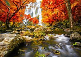 Enjoy 1000 Pieces Puzzle: Autumn Waterfall