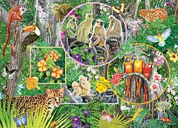 Cobble Hill Puzzle 350 pieces: The Magic of the Rainforest