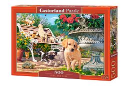 Puzzle Castorland 500 details: Hide and Seek