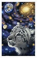 Pintoo 1000-piece puzzle: Shim Schimmel. Solitude with the Universe