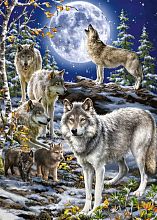 Puzzle Jumbo 500 pieces: Wolf Pack in winter