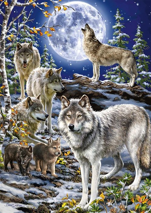 Puzzle Jumbo 500 pieces: Wolf Pack in winter J18845