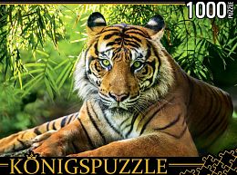 Konigspuzzle 1000 Pieces Puzzle: The Noble Tiger