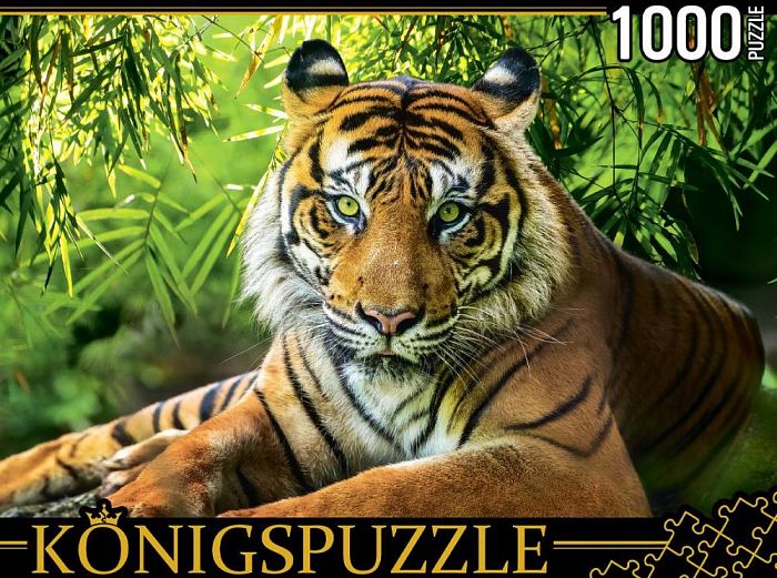 Konigspuzzle 1000 Pieces Puzzle: The Noble Tiger ГИK1000-0649