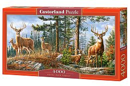 Castorland 4000 pieces puzzle: Deer in the forest