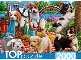 TOP Puzzle 2000 pieces: Puppies on a picnic