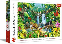 Puzzle Trefl 2000 details: Rainforest