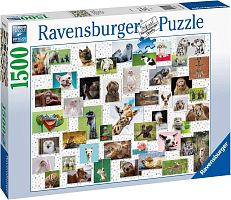 Ravensburger Puzzle 1500 pieces: Funny Animals