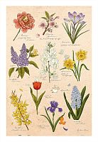 Pintoo 600-piece puzzle: Mandie. Spring flowers