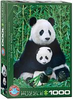 Eurographics 1000 pieces puzzle: Panda and Baby