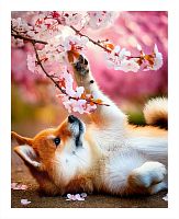 Pintoo 500-piece Puzzle: Siba among Flowers